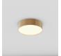 Потолочный светильник Maytoni Technical Ceiling 3000K Zon C032CL-24W3K-RD-MG