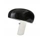 Настольный светильник Divinare Denton 1083/06 TL-2